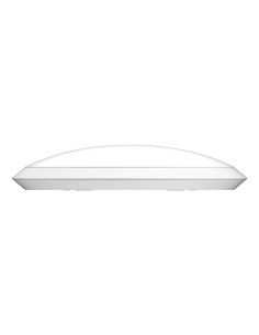 Ruijie Networks RG-RAP72 punto de acceso inalámbrico 3570 Mbit s Blanco Energía sobre Ethernet (PoE) 2