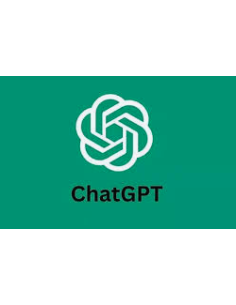 ChatGPT Business (5 usuarios x 12 meses)