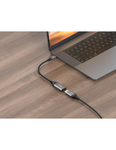 Equip 133493 Adaptador de USB-C a DisplayPort 1.4, 8K 30Hz