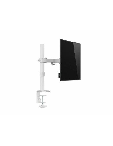 Equip Soporte de escritorio articulado para monitor de 17«-32», blanco