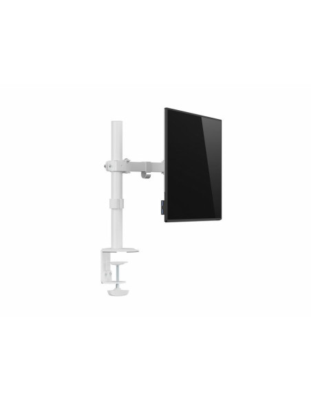 Equip Soporte de escritorio articulado para monitor de 17«-32», blanco