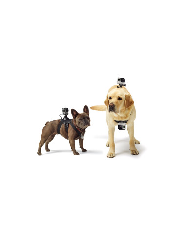 GoPro ADOGM-001 accesorio para cámara de deportes de acción Arnés de perro con soporte para cámara