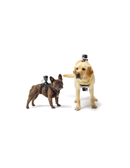 GoPro ADOGM-001 accesorio para cámara de deportes de acción Arnés de perro con soporte para cámara