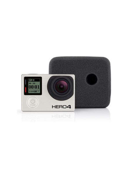 GoPro AFRAS-301