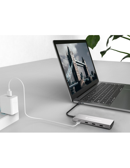 Conceptronic HUBBIES16G hub de interfaz USB 3.2 Gen 2 (3.1 Gen 2) Type-C 10000 Mbit s Gris
