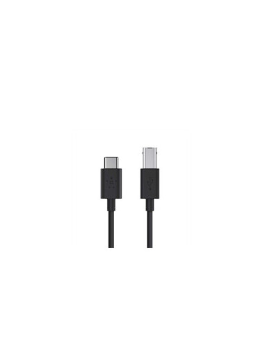 Belkin F2CU035BT06-BLK cable USB USB 2.0 1,83 m USB B USB C Negro