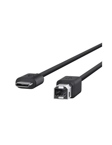 Belkin F2CU035BT06-BLK cable USB USB 2.0 1,83 m USB B USB C Negro