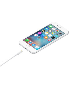 Apple Cable de conector Lightning a USB (1 m) 2