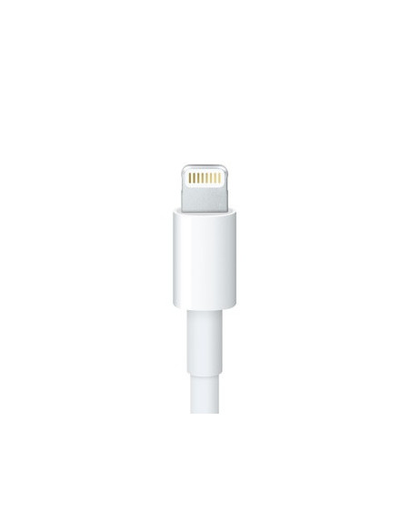 Apple MD824ZM A cable de conector Lightning 0,2 m Blanco