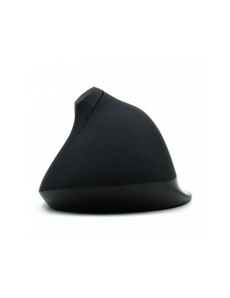 Ewent EW3157 ratón Oficina mano derecha USB tipo A Óptico 1800 DPI