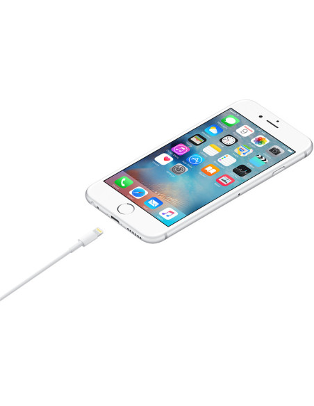 Apple Cable de conector Lightning a USB (1 m)