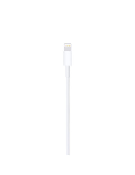 Apple Cable de conector Lightning a USB (1 m)
