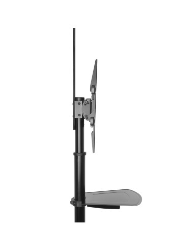 Ewent EW1540 soporte para pantalla de señalización 177,8 cm (70") Negro
