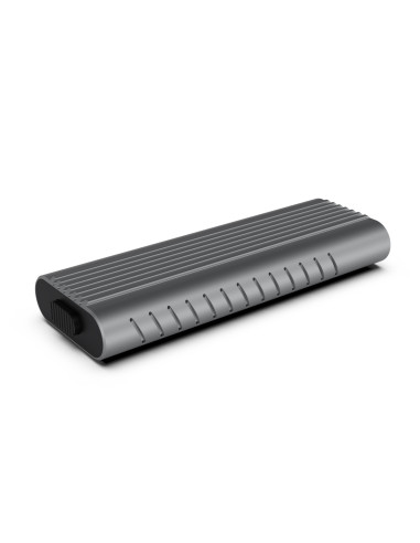 Ewent EW7025 caja para disco duro externo Caja externa para unidad de estado sólido (SSD) Gris M.2