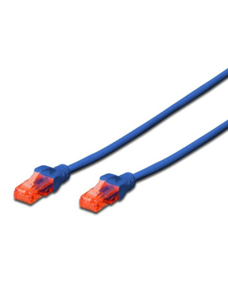 Ewent IM1013 cable de red Azul 2 m Cat6 U UTP (UTP)