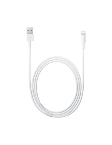 Apple Lightning - USB 2 m Blanco