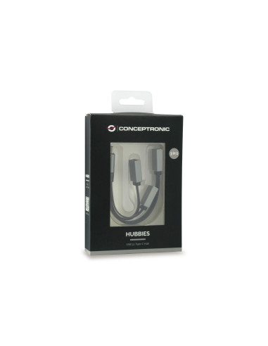 Conceptronic HUBBIES01G hub de interfaz USB 3.2 Gen 2 (3.1 Gen 2) Type-C 5000 Mbit s Gris