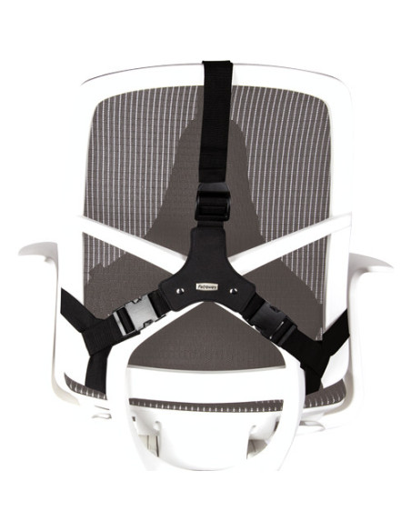 Fellowes Professional Series Negro