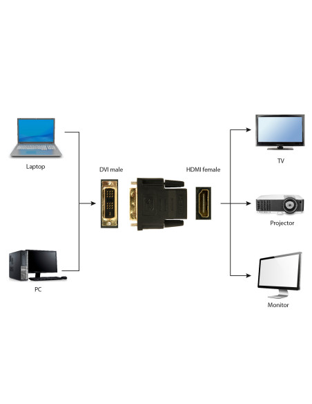 Gembird A-HDMI-DVI-2 cambiador de género para cable Negro