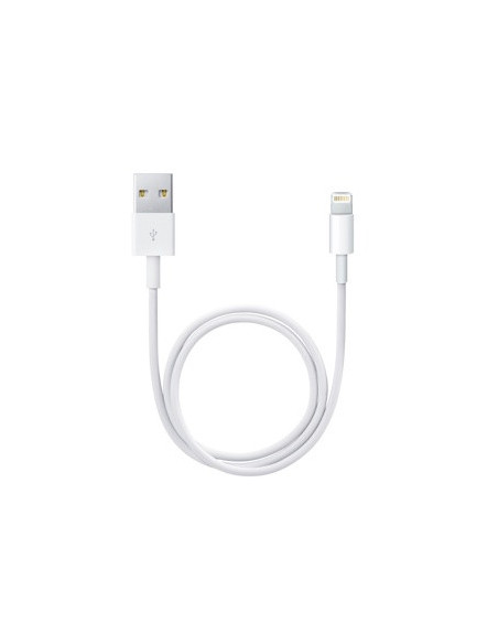 Apple Lightning   USB 0,5 m Blanco
