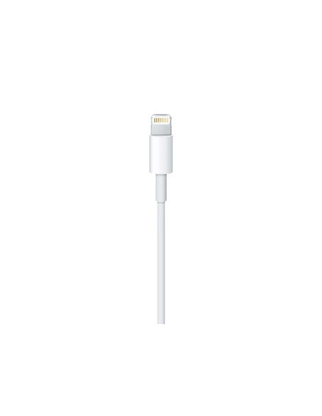Apple Lightning   USB 0,5 m Blanco