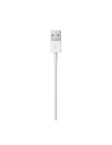 Apple Lightning   USB 0,5 m Blanco