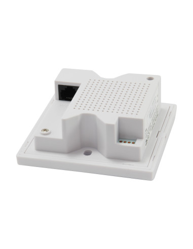 LevelOne WAP-6221 punto de acceso inalámbrico 300 Mbit s Blanco