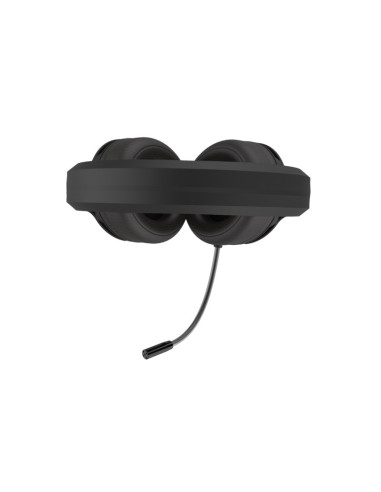 Deep Gaming RGB Pro Deep Chroma Auriculares Alámbrico Diadema Juego USB tipo A Negro