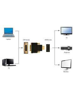 Gembird HDMI - DVI, M F Negro