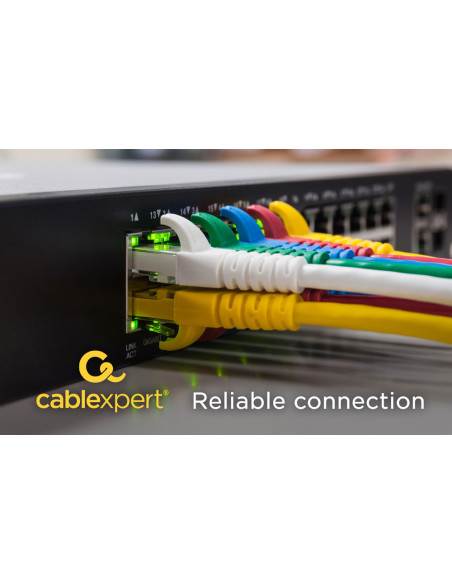 Gembird 2m Cat6 RJ-45 cable de red Blanco F UTP (FTP)