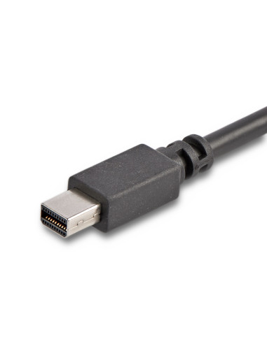 StarTech.com Cable 1,8m USB-C a Mini DisplayPort - 4K 60Hz - Black - Adaptador USB 3.1 Tipo C a mDP
