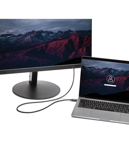 StarTech.com Cable de 2m USB C a VGA - Cable Adaptador Activo de Vídeo de 1920x1200 1080p USB Tipo C a VGA - Compatible con