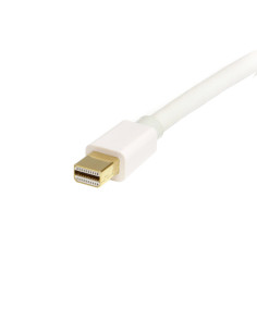 StarTech.com Cable de 2m Mini DisplayPort a DisplayPort 1.2 - Cable Adaptador Mini DisplayPort a DisplayPort 4K x 2K UHD - 2