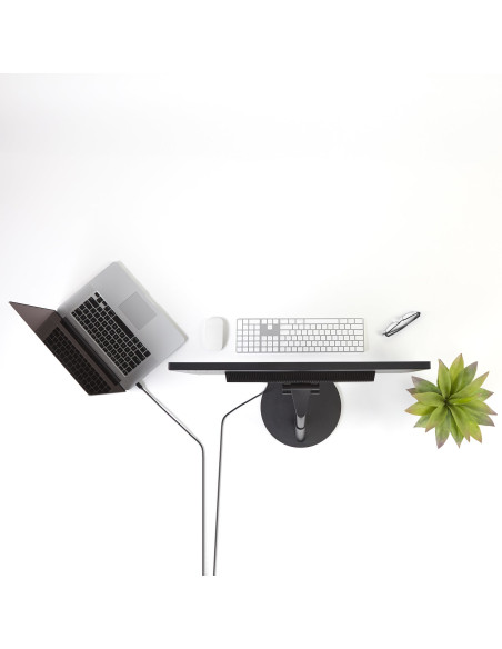 StarTech.com Cable de 1,8m Mini DisplayPort a DisplayPort 1.2 - Cable Adaptador Mini DisplayPort a DisplayPort 4K x 2K UHD -