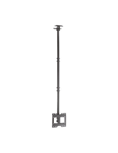 AISENS Soporte de techo giratorio, inclinable, extensible para monitor TV 50kg de 23”-43”, Negro