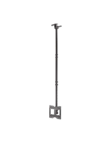 AISENS Soporte de techo giratorio, inclinable, extensible para monitor TV 50kg de 23”-43”, Negro