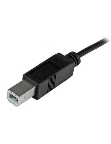 StarTech.com Cable de 2m USB-C a USB B Macho a Macho - Cable USB Tipo C a USB B USB 2.0