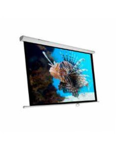 Phoenix Technologies Pantalla 300m pantalla de proyección 4,29 m (169") 1 1