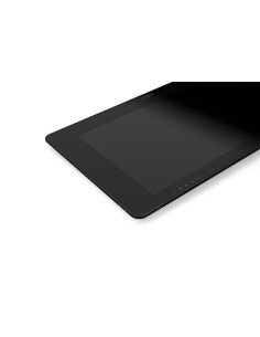 Wacom Cintiq Pro 24 tableta digitalizadora Negro 5080 líneas por pulgada 522 x 294 mm USB 2