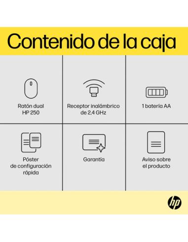 HP Ratón dual 250