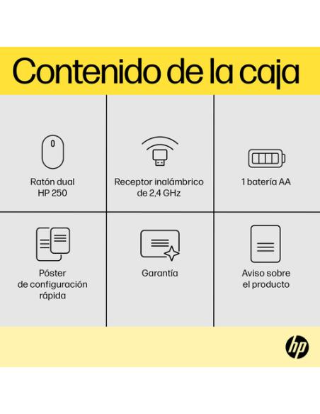 HP Ratón dual 250
