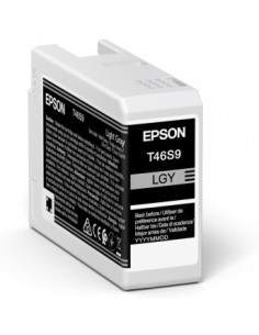 Epson UltraChrome Pro cartucho de tinta 1 pieza(s) Original Gris claro