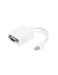 Digitus Cable adaptador Mini DisplayPort - VGA