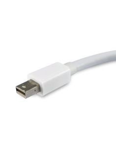 Equip Adaptador de Mini DisplayPort a DisplayPort, color blanco 2