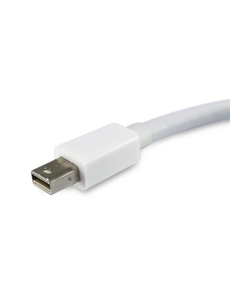 Equip Adaptador de Mini DisplayPort a DisplayPort, color blanco