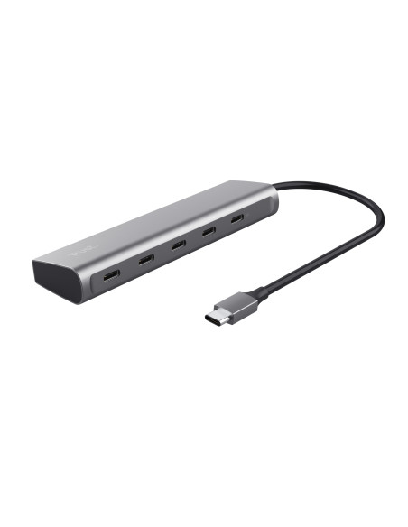 Trust Halyx USB 3.2 Gen 1 (3.1 Gen 1) Type-C Plata