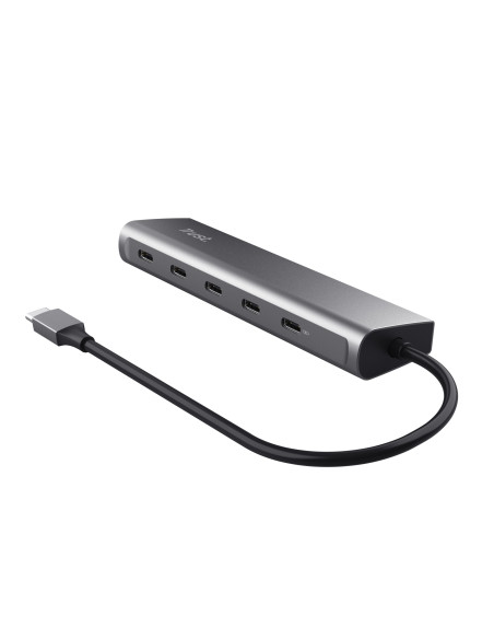 Trust Halyx USB 3.2 Gen 1 (3.1 Gen 1) Type-C Plata