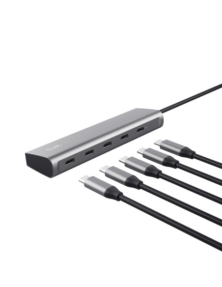 Trust Halyx USB 3.2 Gen 1 (3.1 Gen 1) Type-C Plata