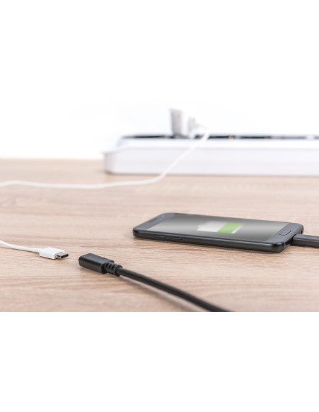 Digitus Cable alargador USB Type-C Gen2, Type-C a C