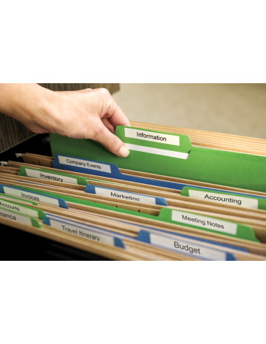 DYMO LW - Etiquetas multiuso - 19 x 51 mm - S0722550